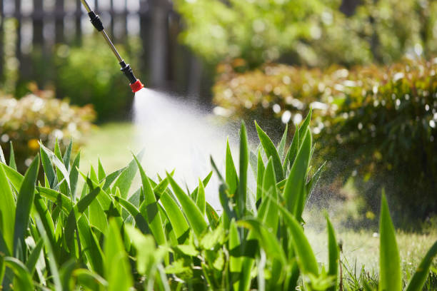 Tamper-Resistant Bait Stations for Rodents in Moore Haven