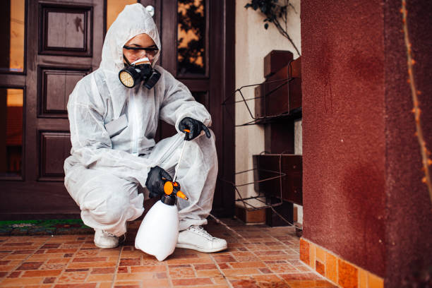 Attic and Crawl Space Rodent Treatment in Moore Haven