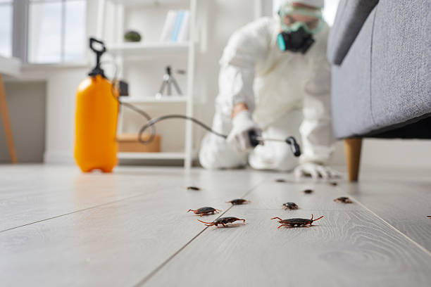 Commercial Rodent Management in Moore Haven